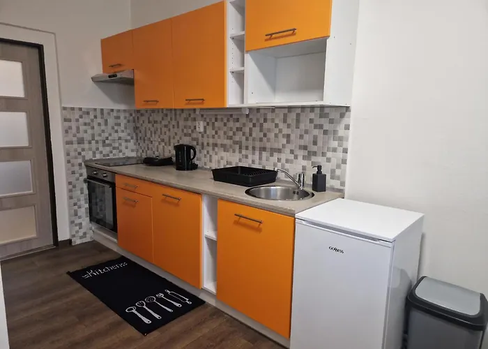 Cerna Ruze- 2 * Plzeň