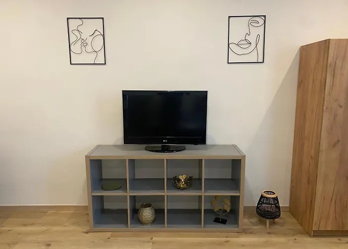 Cerna Ruze- 2 * Plzeň