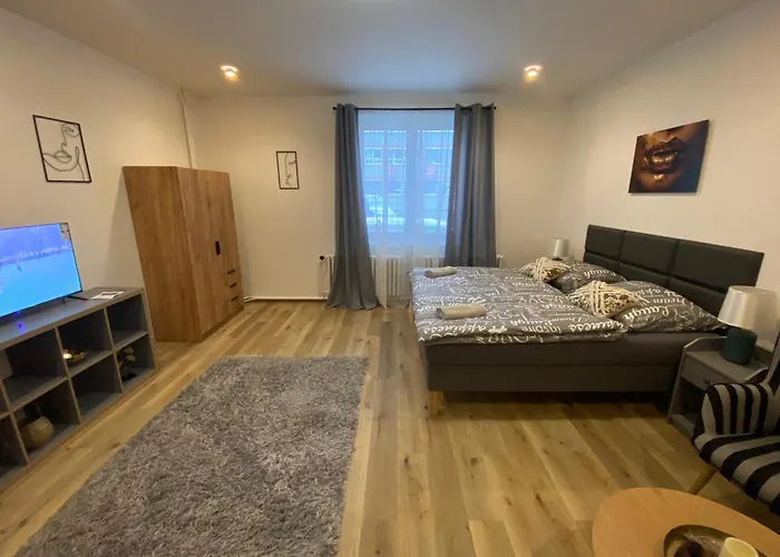 Cerna Ruze- 2 * Plzeň