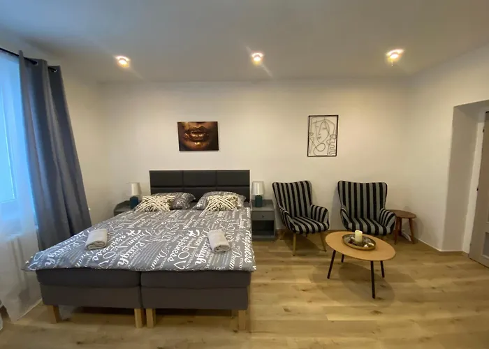 Cerna Ruze- 2 * Plzeň